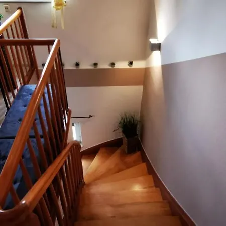 Palmenwald * Freudenstadt