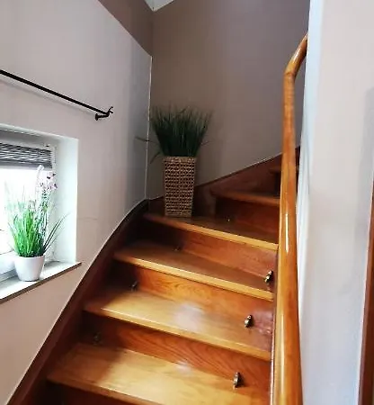 Palmenwald Apartment *